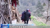 吃瓜tv吃野草喝河水苦熬6天 78岁阿尔茨海默病老人深山获救