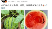 娱乐圈吃瓜的图片,揭秘明星幕后故事