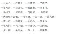 射开头的成语,古韵今风，智慧传承”