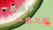 娱乐全吃瓜,揭秘明星幕后故事，揭秘幕后真相